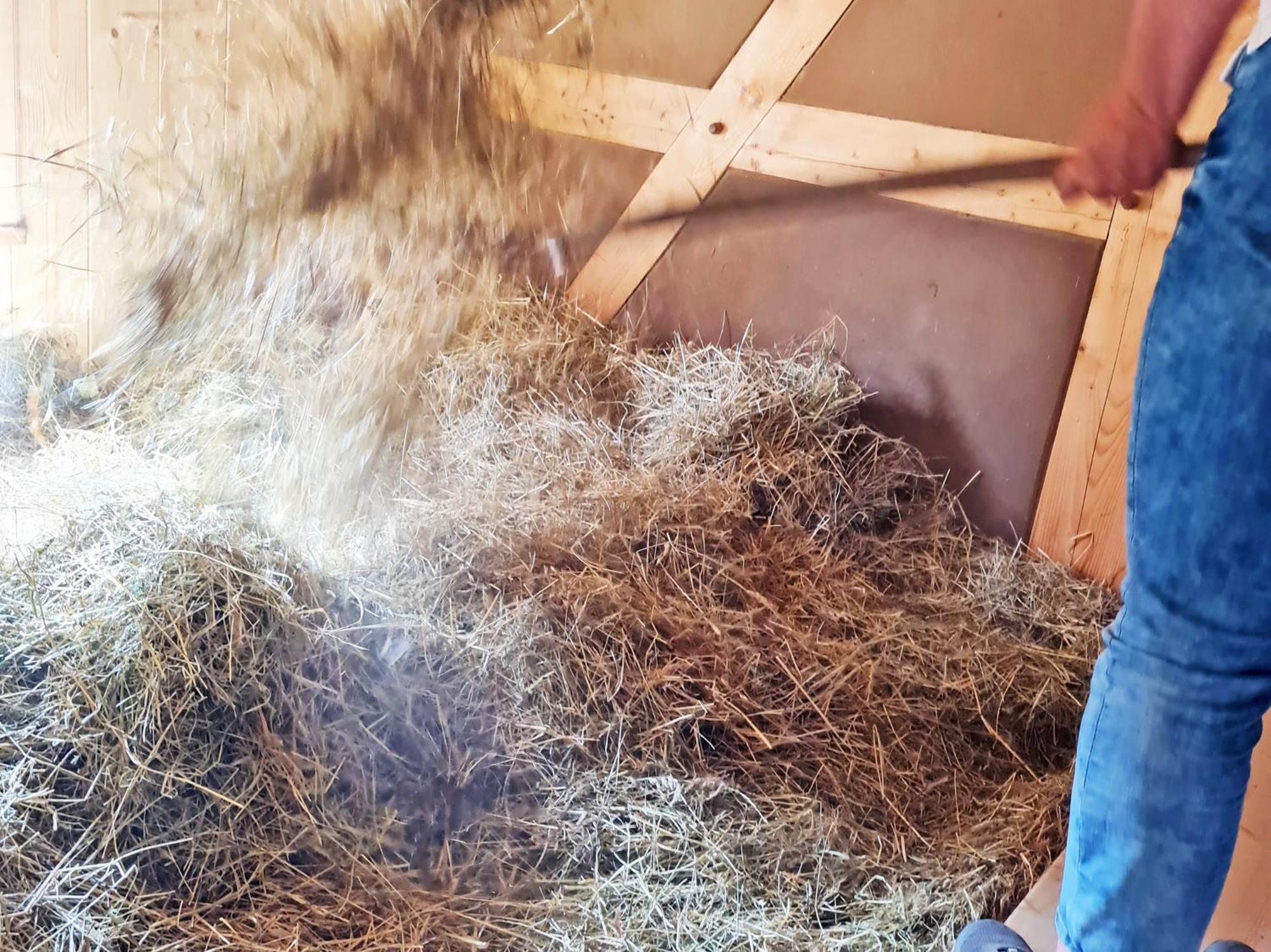 Familien- Und Apartmenthotel Lerchenberghof Walddorf  Kamer foto